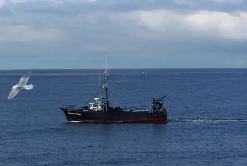 CALIFORNIA HORIZON Fishing Vessel IMO 7739193 photo 9