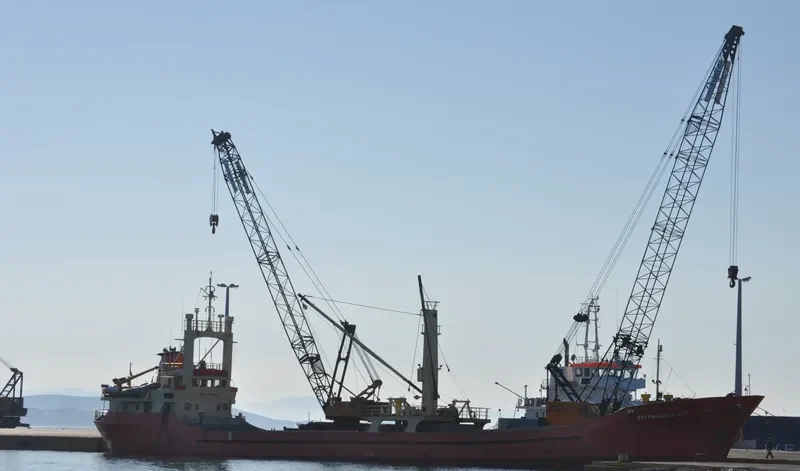 BAYRAMOGLU II General Cargo IMO 7739715 photo 5