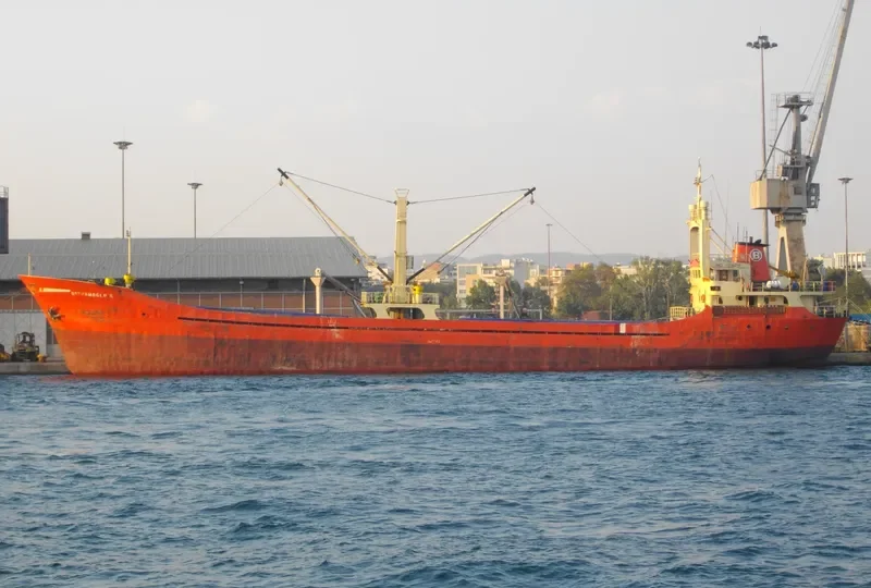BAYRAMOGLU II General Cargo IMO 7739715 photo 8