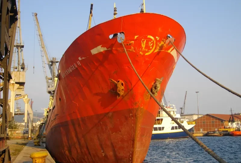 BAYRAMOGLU II General Cargo IMO 7739715 photo 10