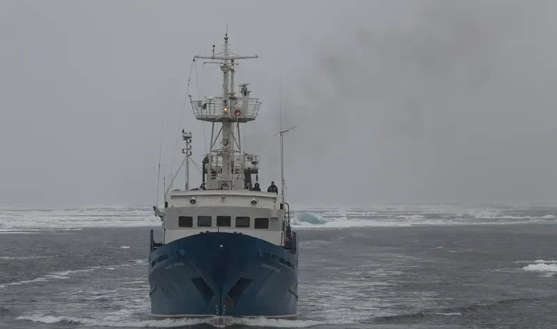 DALNIE ZELENTSY General Cargo IMO 7740477