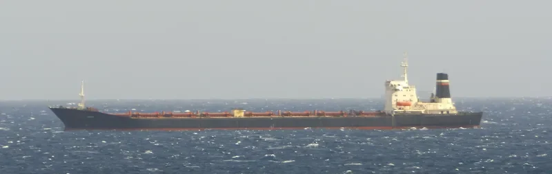 TEMIRA Bulk Carrier IMO 7740831