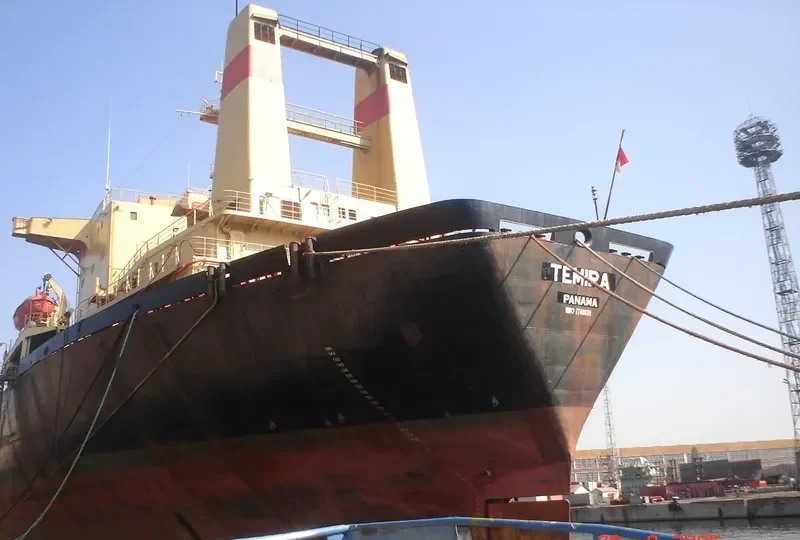 TEMIRA Bulk Carrier IMO 7740831 photo 3