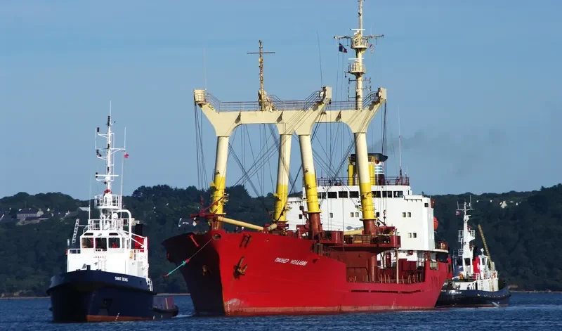 PIONER MOLDAVII General Cargo Vessel IMO 7741263 photo 4