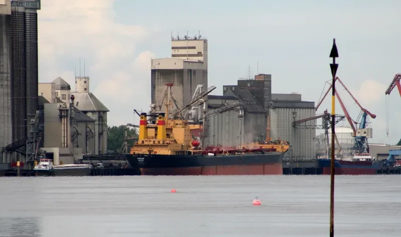 RODINA Bulk Carrier IMO 7741328