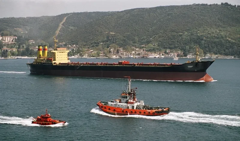 RODINA Bulk Carrier IMO 7741328 photo 2