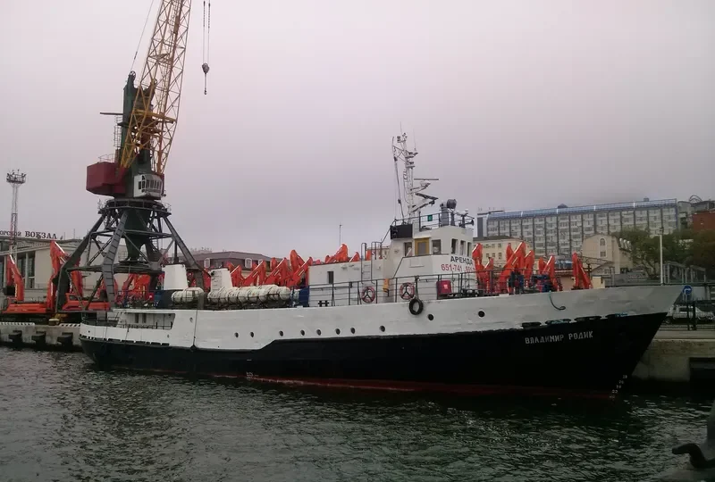 VLADIMIR RODIK Passenger Ship IMO 7741471
