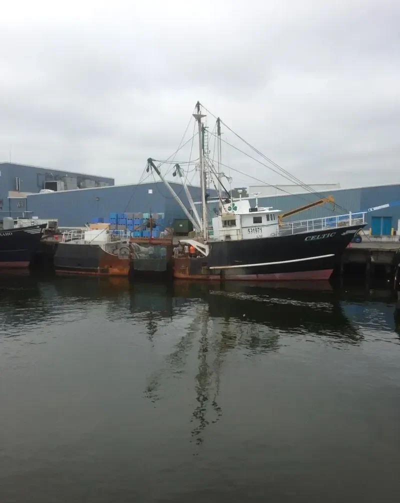 CELTIC General Cargo IMO 7742619 photo 2
