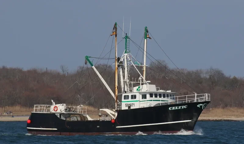 CELTIC General Cargo IMO 7742619 photo 9