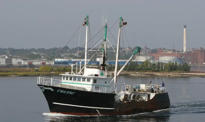 CELTIC General Cargo IMO 7742619 photo 10