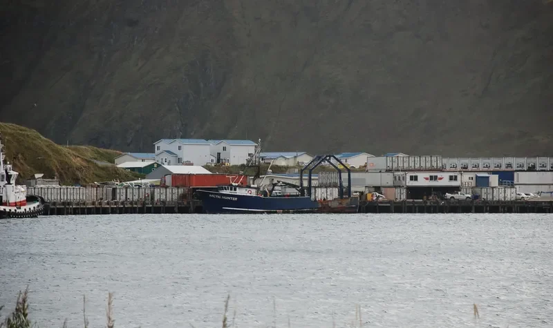 ARCTIC HUNTER General Cargo IMO 7742815 photo 2