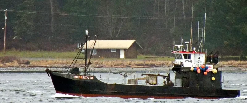 ROBERTA M General Cargo IMO 7742841 photo 2