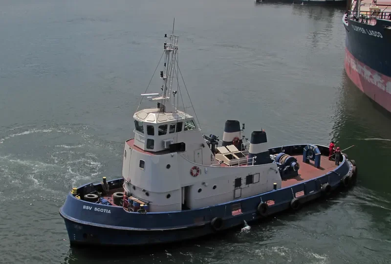 BSV SCOTIA General Cargo IMO 7800021 photo 2