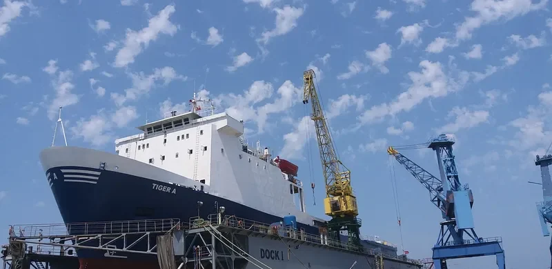 LUCCELLO Ro-Ro IMO 7800112 photo 4