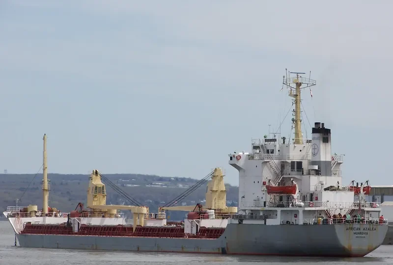 AFRICAN AZALEA Bulk Carrier IMO 7800368 photo 2