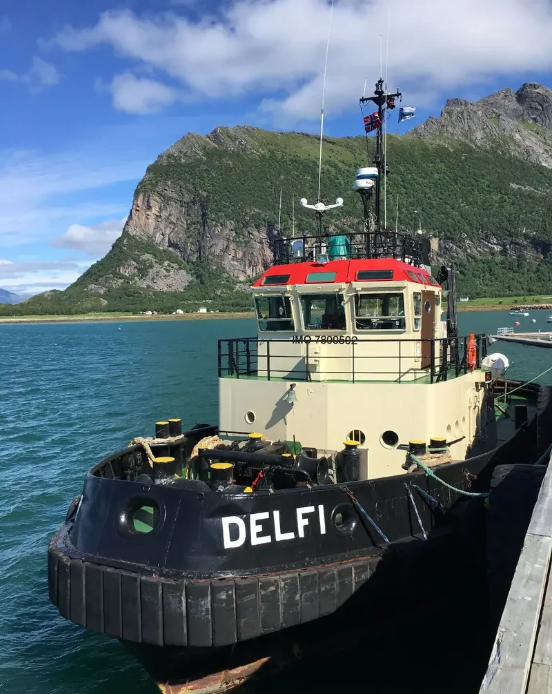 DELFI Tug Boat IMO 7800502 photo 2