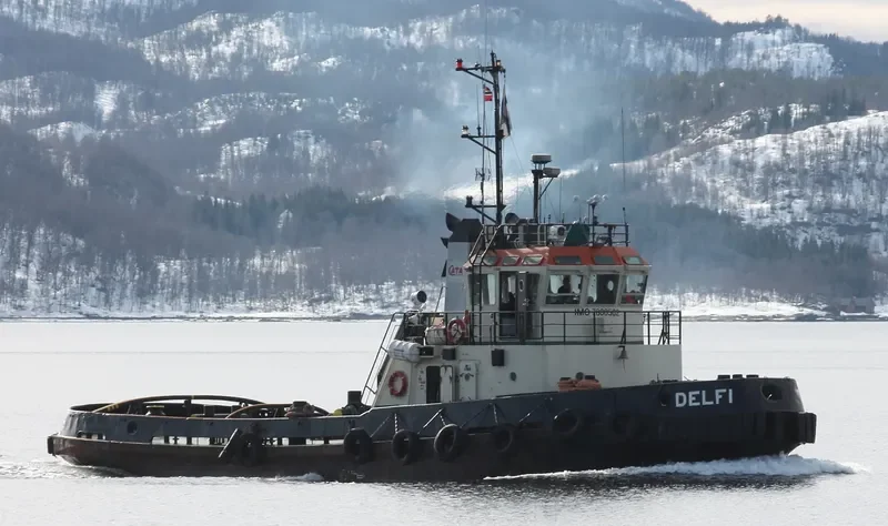 DELFI Tug Boat IMO 7800502 photo 5