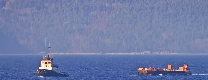 DELFI Tug Boat IMO 7800502 photo 6