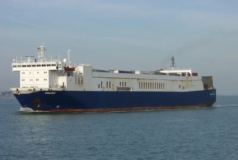 WINNER 6 Ro-Ro IMO 7800760 photo 8