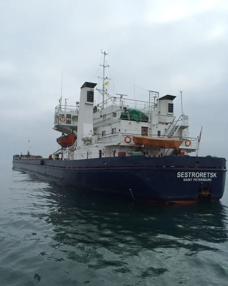 SESTRORETSK General Cargo IMO 7801867 photo 5