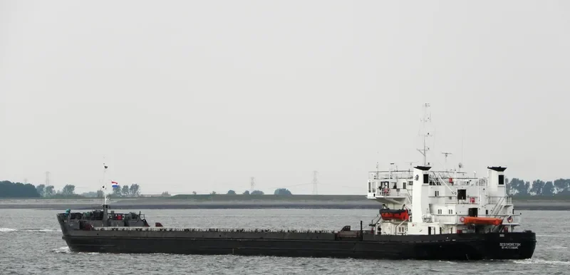 SESTRORETSK General Cargo IMO 7801867 photo 7