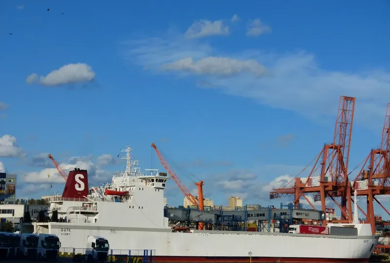 GUBAL TRADER Ro-Ro IMO 7802794 photo 3