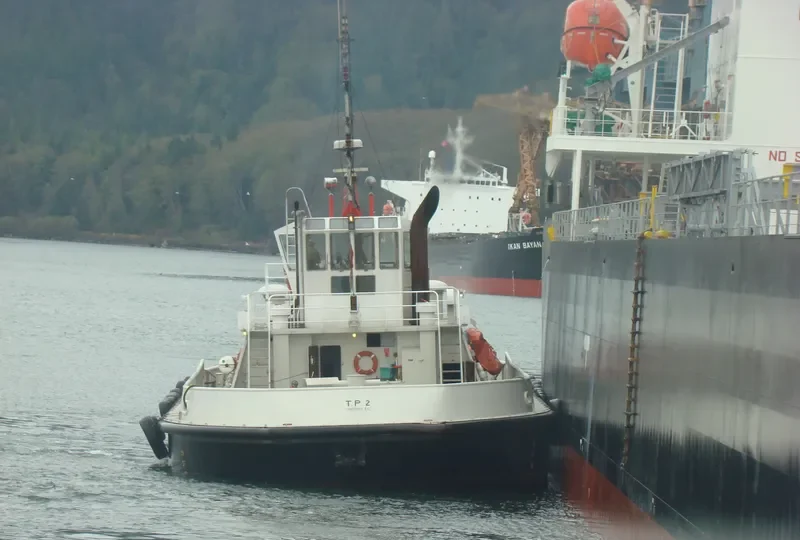 SMIT NASS General Cargo IMO 7803140 photo 3