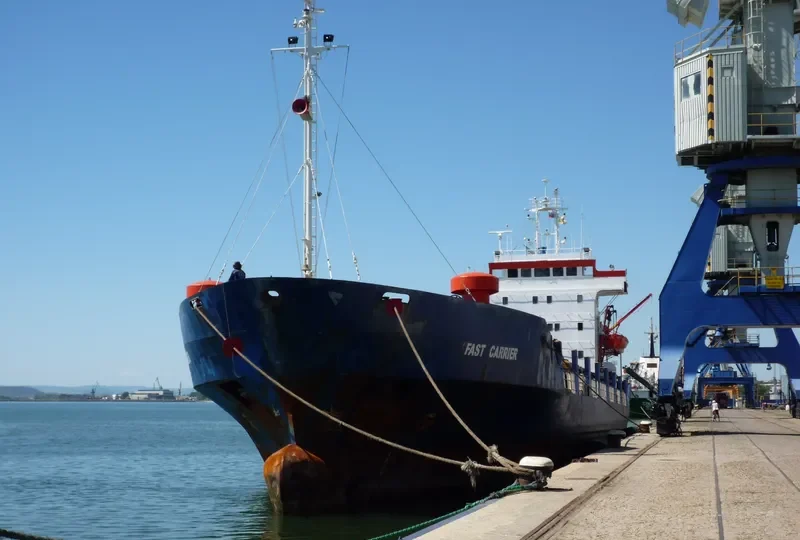 FAST CARRIER General Cargo Vessel IMO 7803487 photo 2