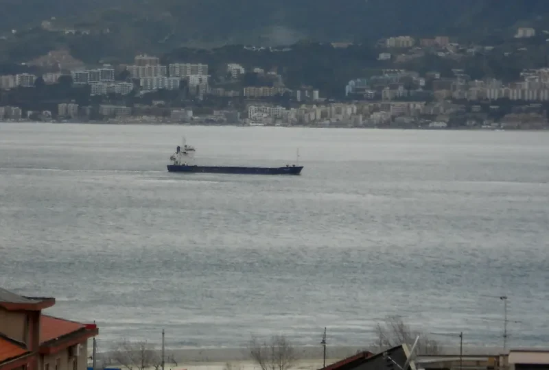 FAST CARRIER General Cargo Vessel IMO 7803487 photo 4