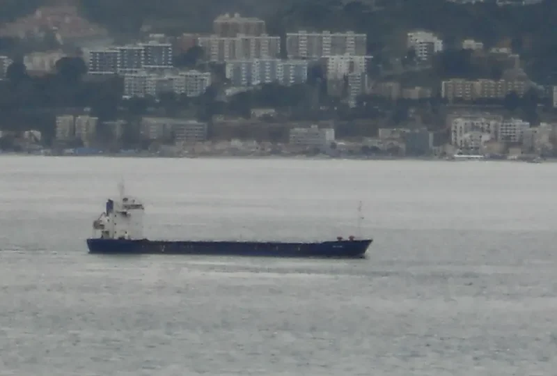 FAST CARRIER General Cargo Vessel IMO 7803487 photo 5