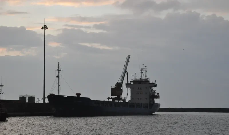 FAST CARRIER General Cargo Vessel IMO 7803487 photo 7