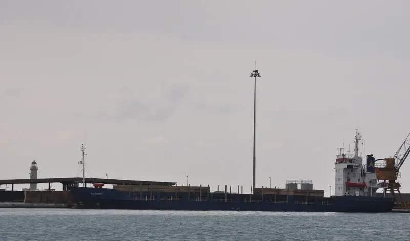 FAST CARRIER General Cargo Vessel IMO 7803487 photo 9
