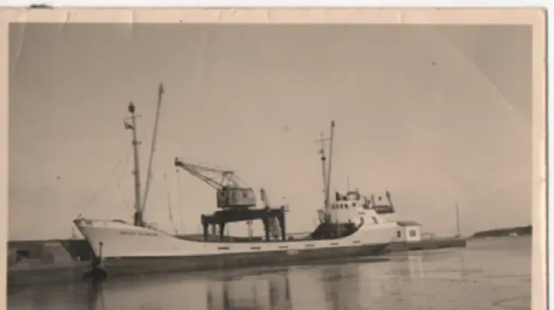 SEA JEWEL I General Cargo IMO 7803499 photo 2