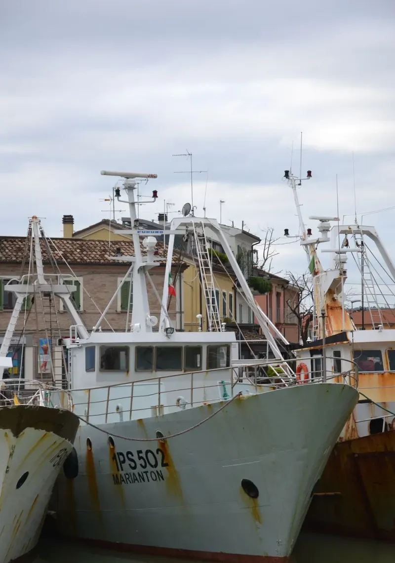 MARIANTON Fishing Vessel IMO 7803700