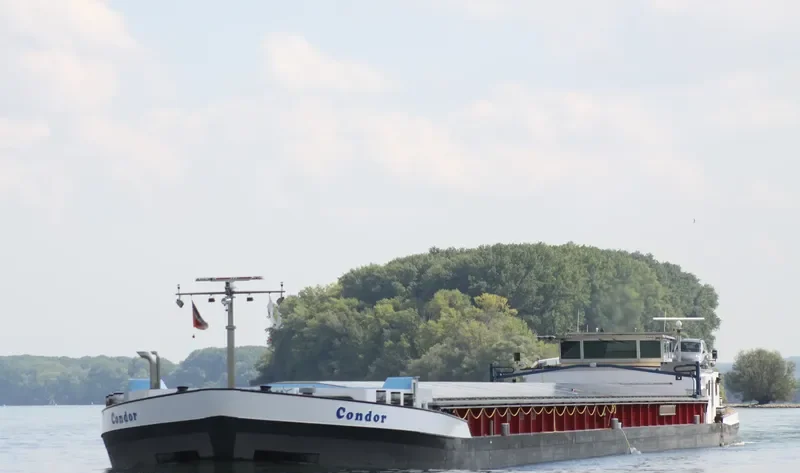 CONDOR General Cargo IMO 7804730 photo 3