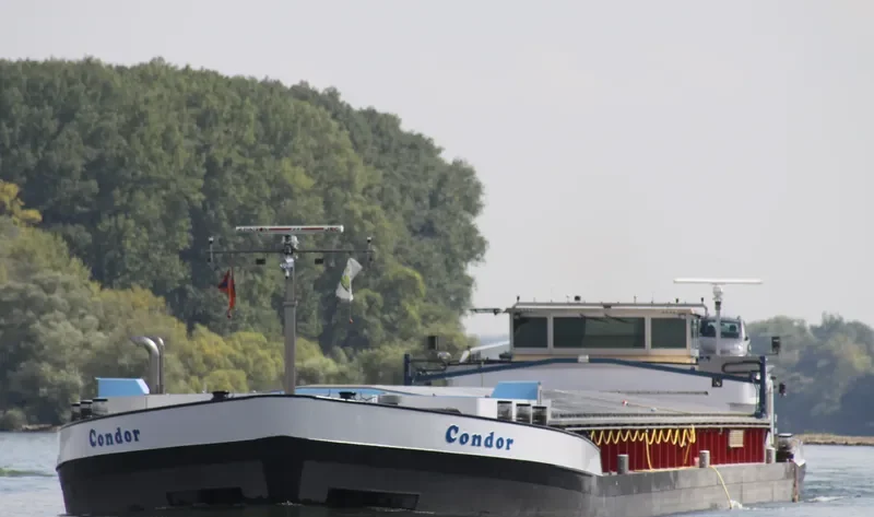 CONDOR General Cargo IMO 7804730 photo 4