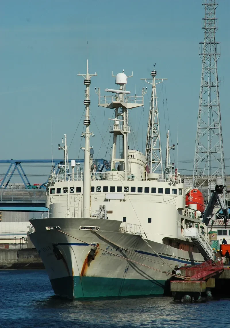 HAKUREI MARU NO.2 General Cargo IMO 7804780 photo 2