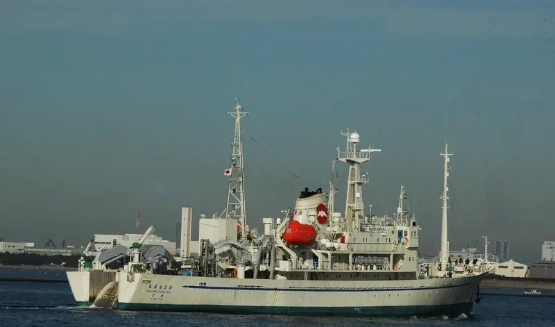 HAKUREI MARU NO.2 General Cargo IMO 7804780 photo 3