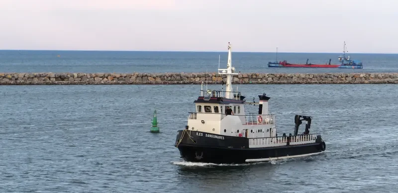 ILES SANGUINAIRES Tug Boat IMO 7804819 photo 5
