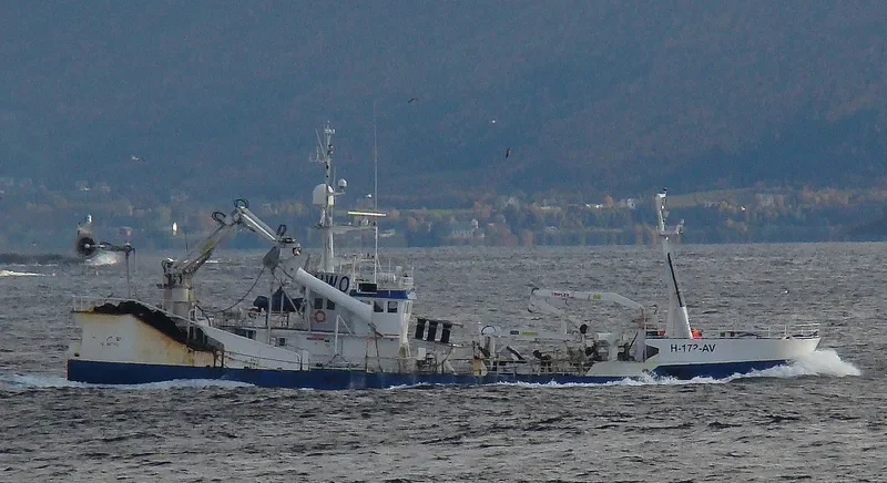 OZLEM General Cargo IMO 7805071 photo 4