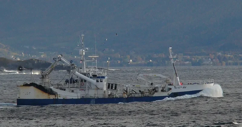 OZLEM General Cargo IMO 7805071 photo 5