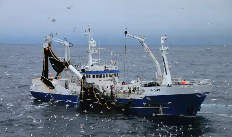 OZLEM General Cargo IMO 7805071 photo 9