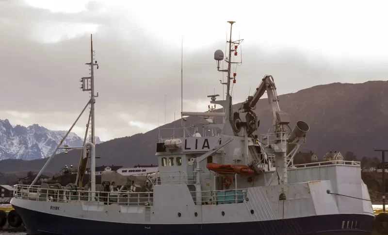 GANTHI Fishing Vessel IMO 7805148 photo 2