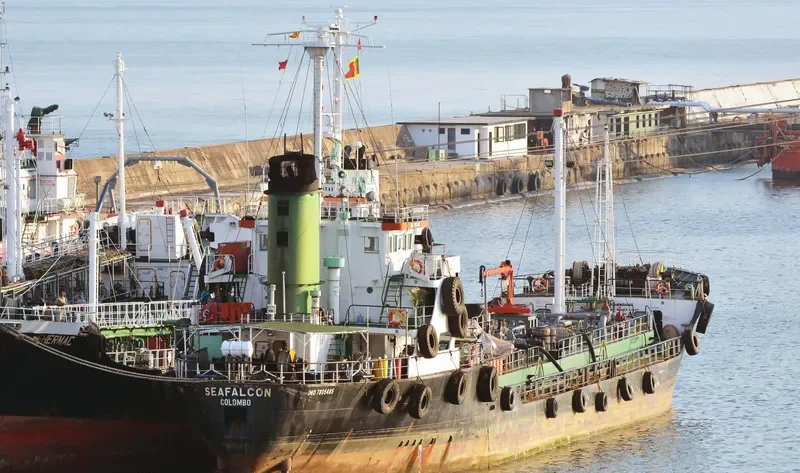 SEAFALCON General Cargo IMO 7805485 photo 2