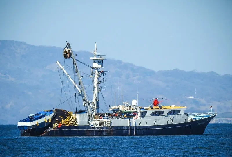 TAURUS I Fishing Vessel IMO 7806295 photo 2