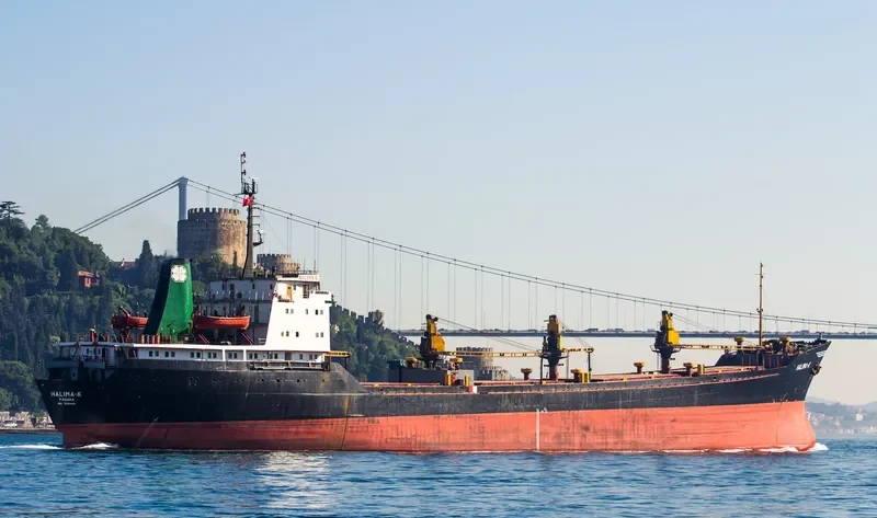 HALIMA K General Cargo IMO 7806855 photo 4