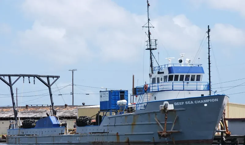 DEEP SEA CHAMPION Offshore Vessel IMO 7807627