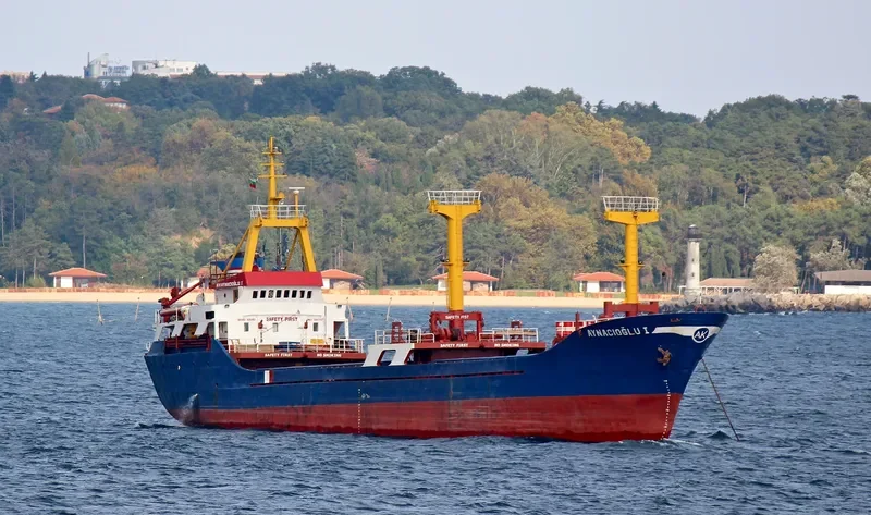 RANEKA M General Cargo IMO 7808097 photo 6