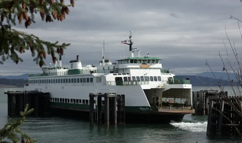 SEALTH Ro-Ro IMO 7808152 photo 4
