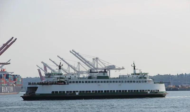 SEALTH Ro-Ro IMO 7808152 photo 5